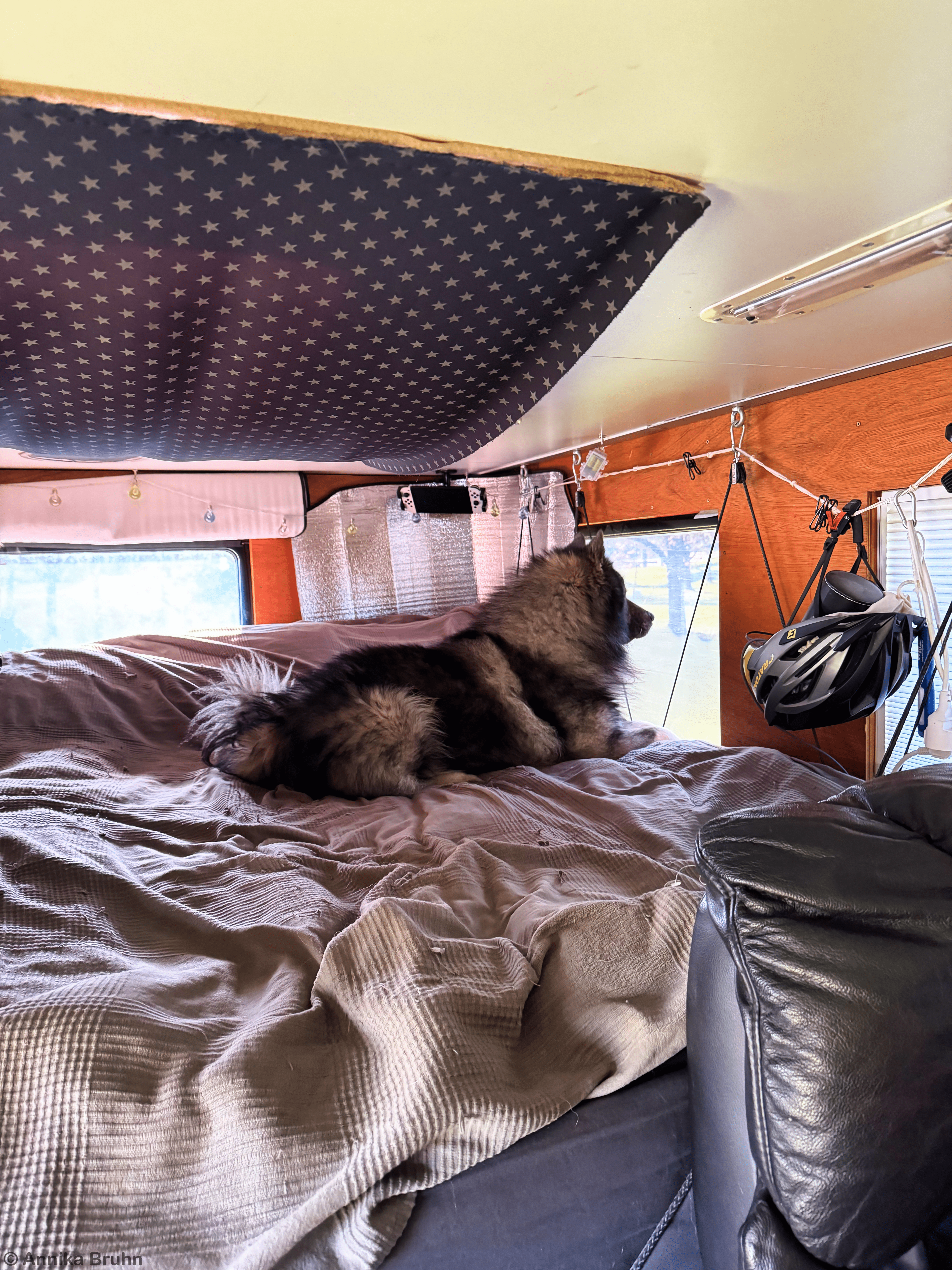 Im Bett liegen und hinaus schauen herrlich